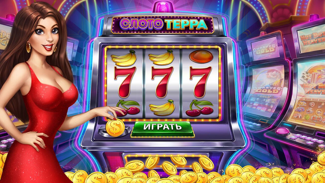 12cuci net